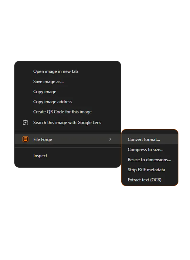 File Forge Chrome extension converting a file